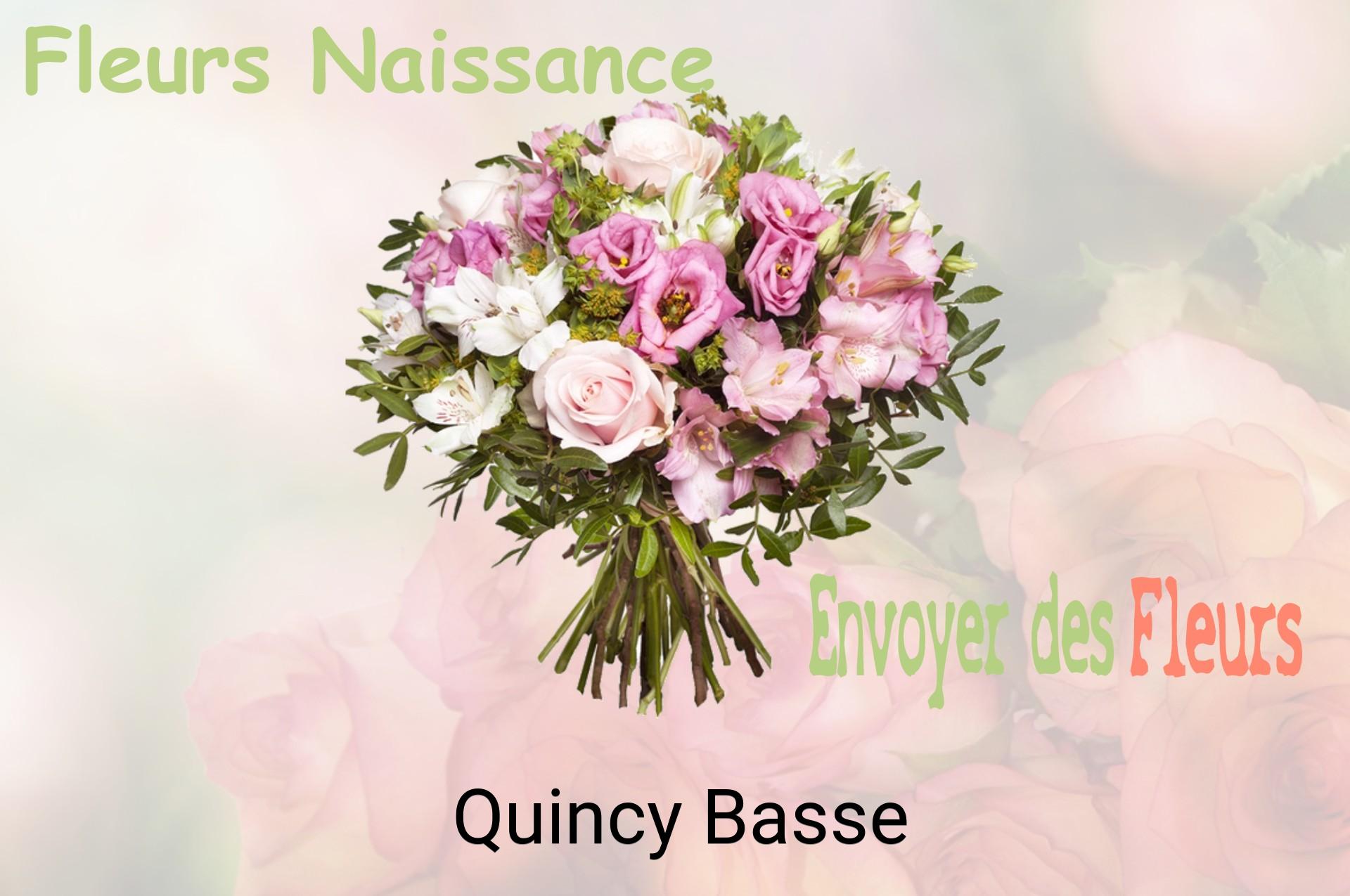 Bouquet de fleurs de naissance livré à Quincy-Basse